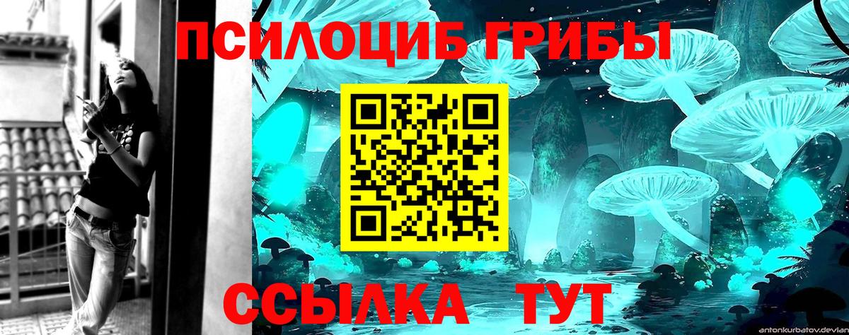 Псилоцибиновые грибы прущие грибы  Вход с VPN  Семёнов 